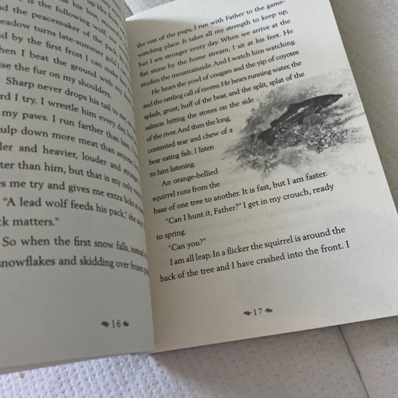 Book - Picture 4 of 4